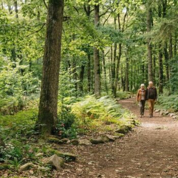 Forêt sanctuaire cinéraire en France